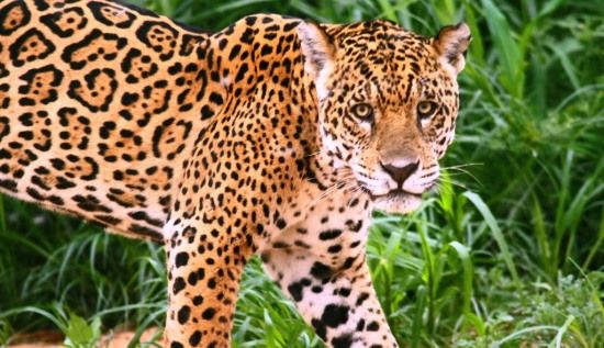 Időpontok és árak