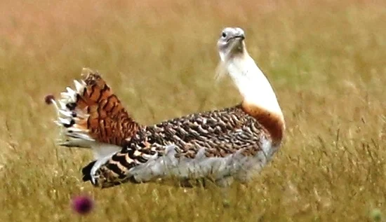 Úti összefoglalók és visszajelzések